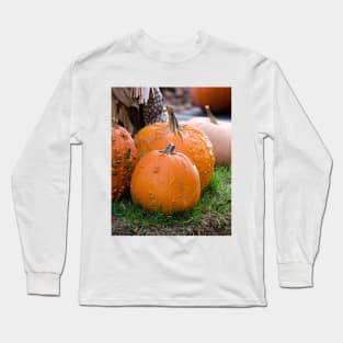 Bumpy pumpkin landscape in fall Long Sleeve T-Shirt